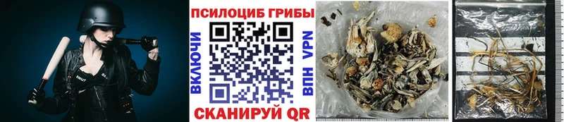 Псилоцибиновые грибы мухоморы  наркошоп  Власиха 